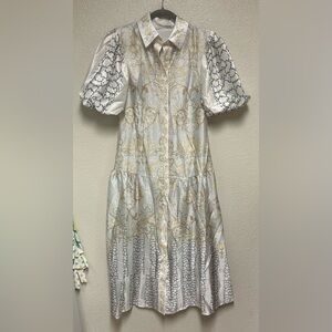 NWT Endless Moon Drop Waist Dress with Puff Sleeves in Gold and Silver